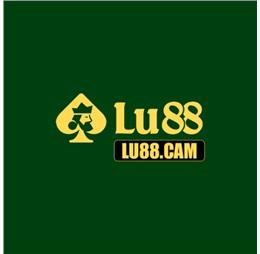 LU88cam