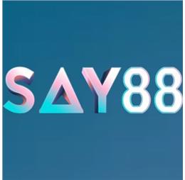 say88cam