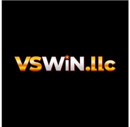vswinllc