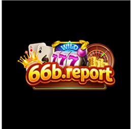 66breport