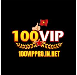 100vipproinnet