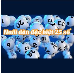 nuoidande25sok