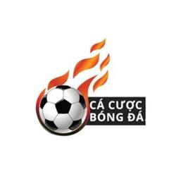 cacuocbongdaone