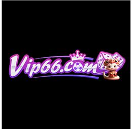 vip66zcx