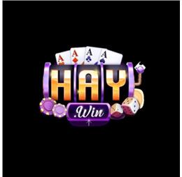 haywin2026com