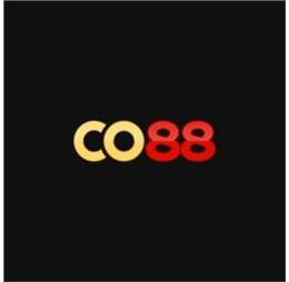 co88company
