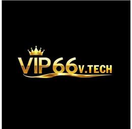 vip66vtech