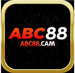 abc88cam1