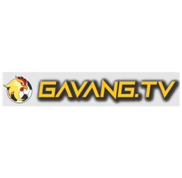 gavangtvwork1