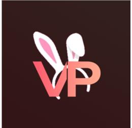 vicepleasurenet