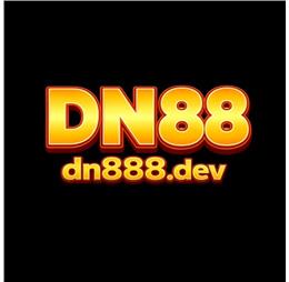 dn888dev