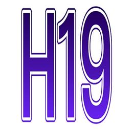 h19biz