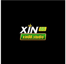 xin88studio