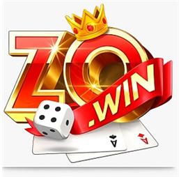 zowinbrcom
