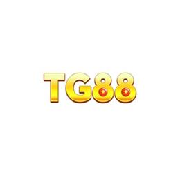 tg88988com