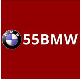 55bmworgphtop