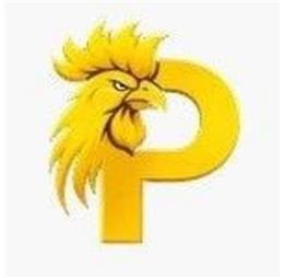 paitosdyio
