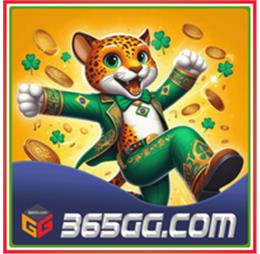 ek365ggwbz