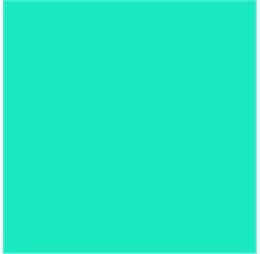 nn456vvkmv