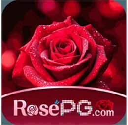 rosepgwsnt