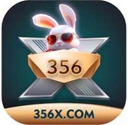 xe356xcpsa