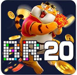 br20ipihzy