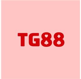tg888bbcom