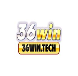 36wintech