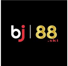 Bj88ski