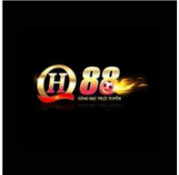 qh881jpnet